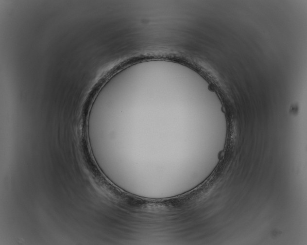 X0000094970636200711291139