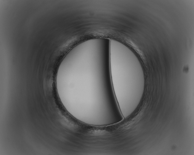 X0000094970637200711291139