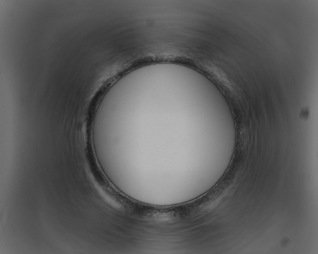 X0000094970638200711291139