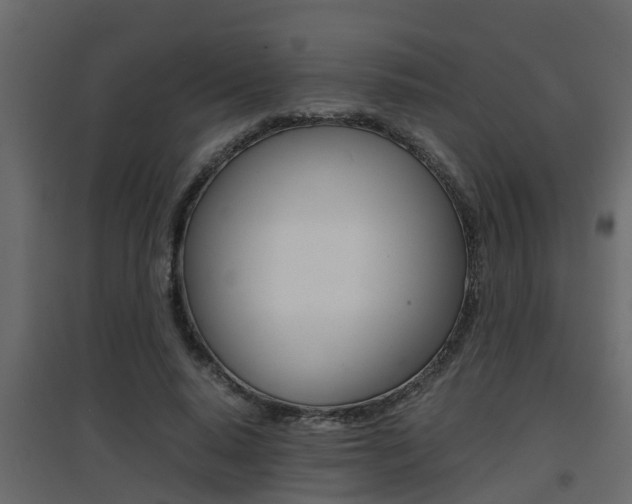 X0000094970640200711291139