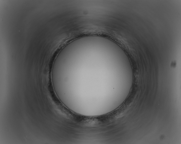 X0000094970642200711291139