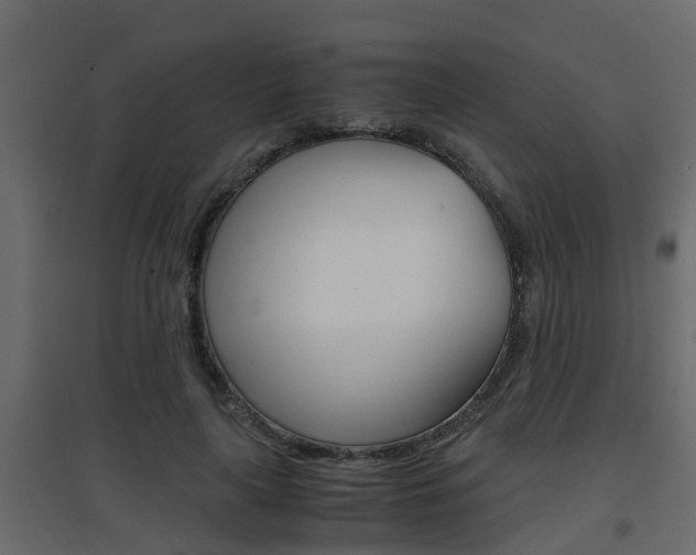 X0000094970643200711291139