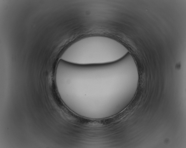 X0000094970644200711291139