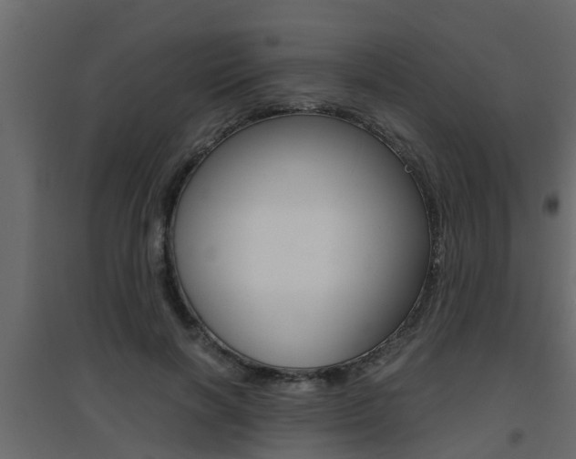 X0000094970646200711291139