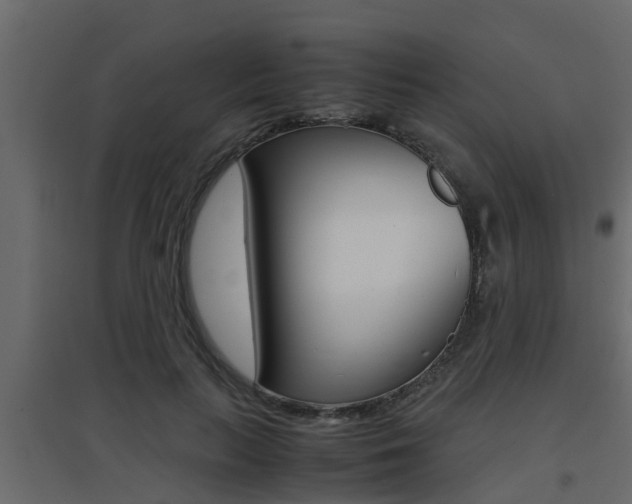 X0000094970647200711291139