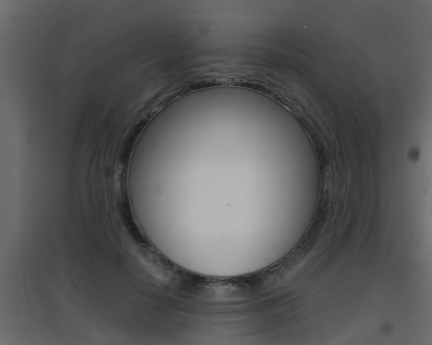 X0000094970650200711291139