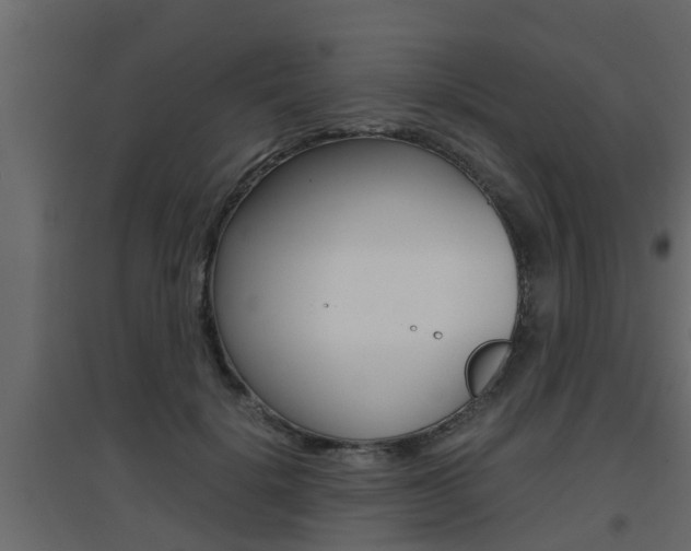 X0000094970652200711291139