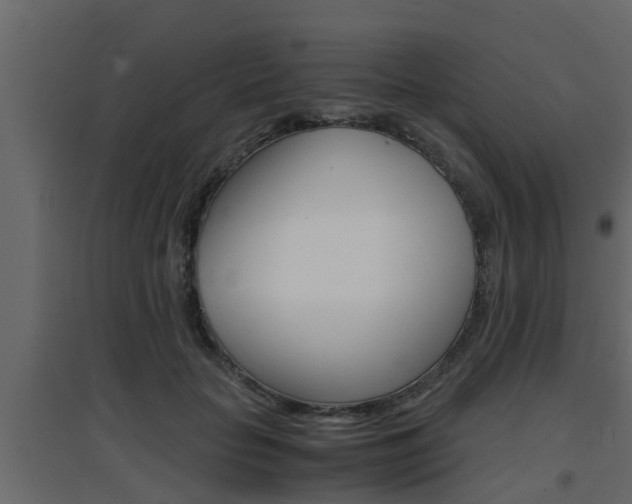 X0000094970653200711291139