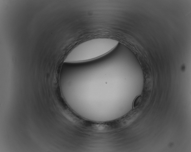 X0000094970654200711291139