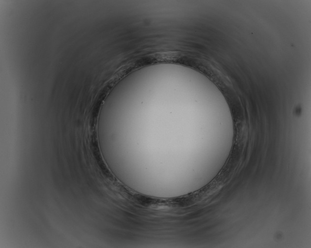 X0000094970655200711291139
