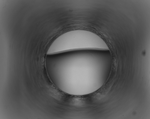 X0000094970657200711291139