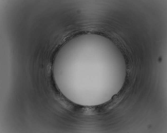 X0000094970660200711291139