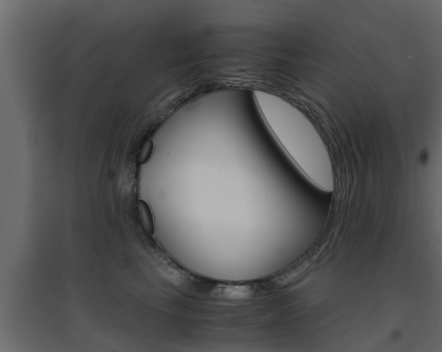 X0000094970665200711291139