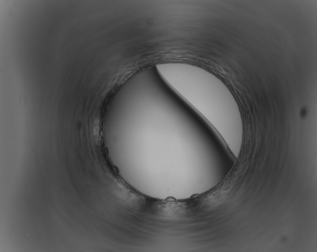 X0000094970670200711291139