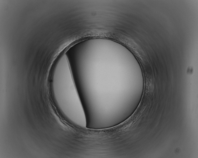 X0000094970674200711291138