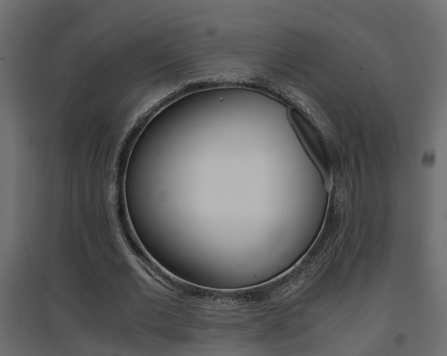 X0000094970677200711291138