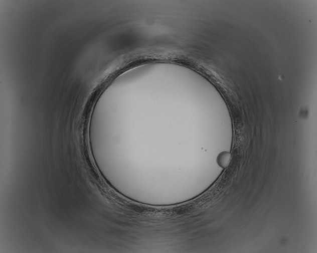 X0000094970679200711291138