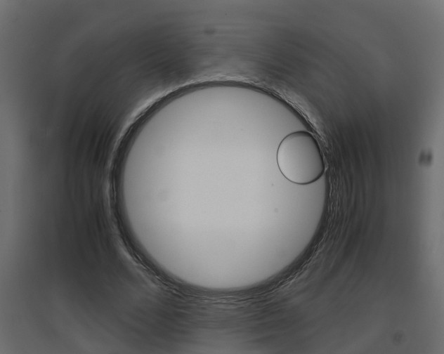 X0000094970680200711291138