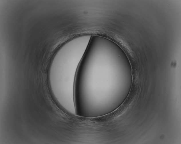 X0000094970681200711291138
