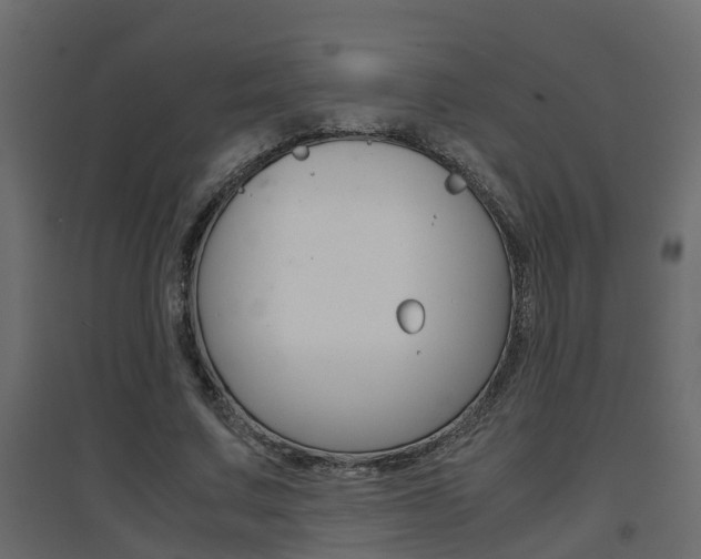 X0000094970683200711291138