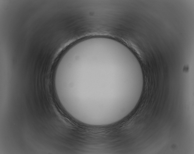 X0000094970684200711291138
