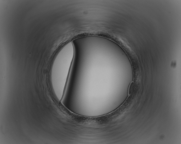 X0000094970685200711291138