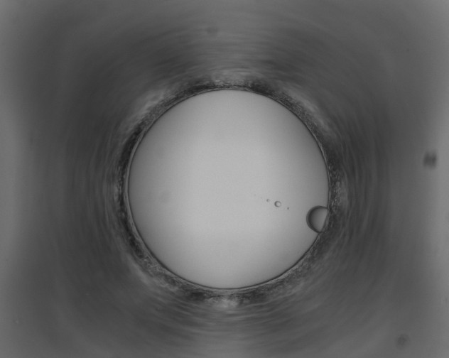 X0000094970687200711291138