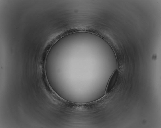 X0000094970688200711291138