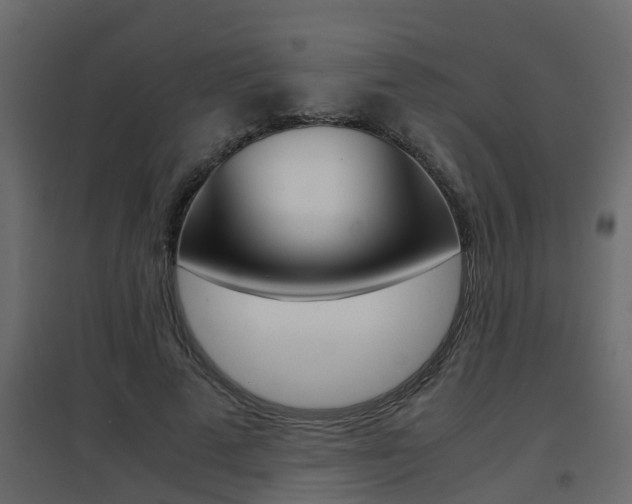 X0000094970689200711291138