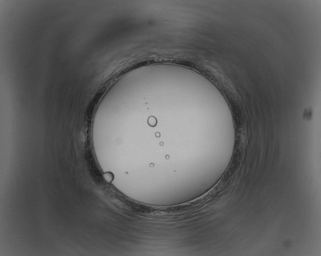 X0000094970691200711291138