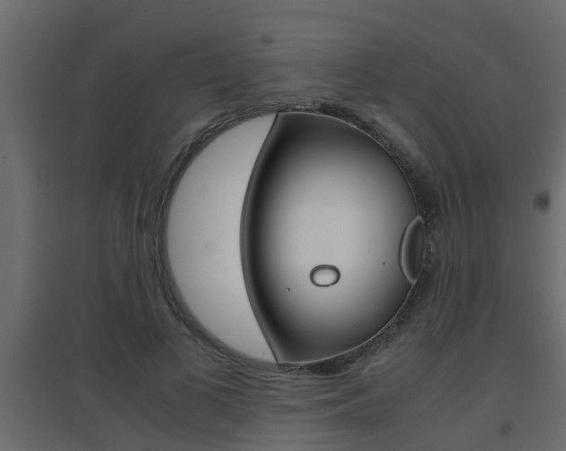X0000094970693200711291138