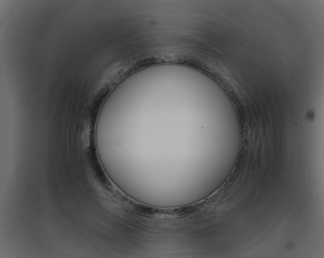 X0000094970694200711291138
