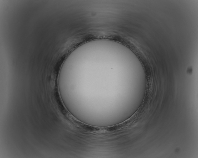X0000094970695200711291138