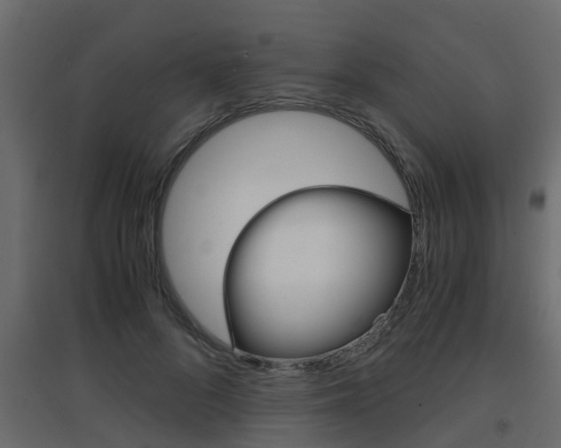 X0000094970696200711291138