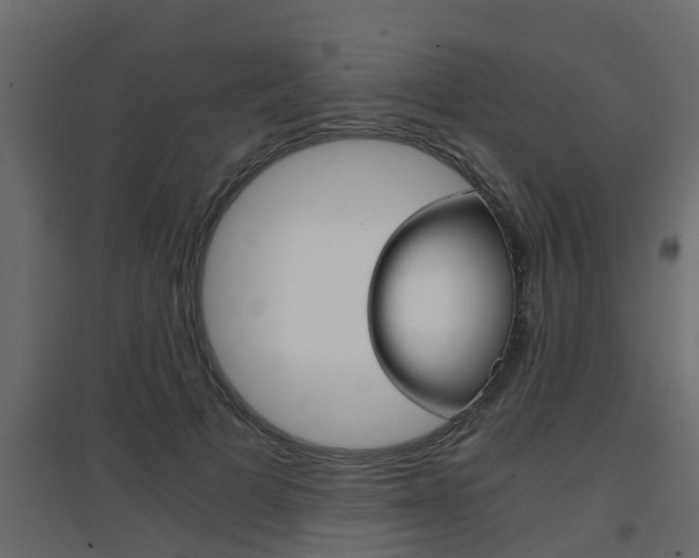 X0000094970697200711291138