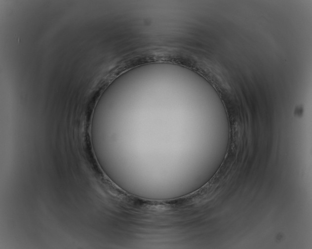 X0000094970698200711291138