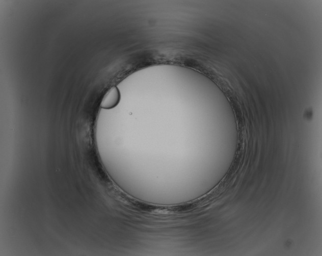X0000094970699200711291138