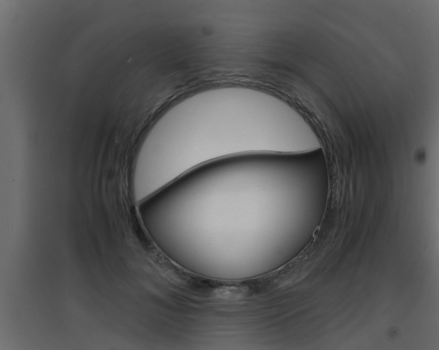 X0000094970700200711291138