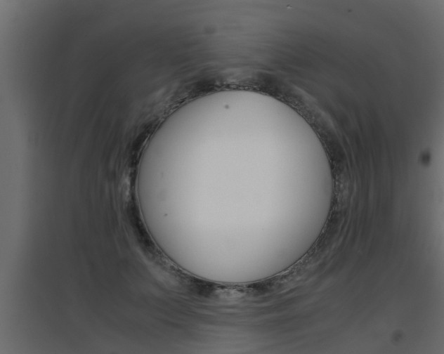 X0000094970703200711291138