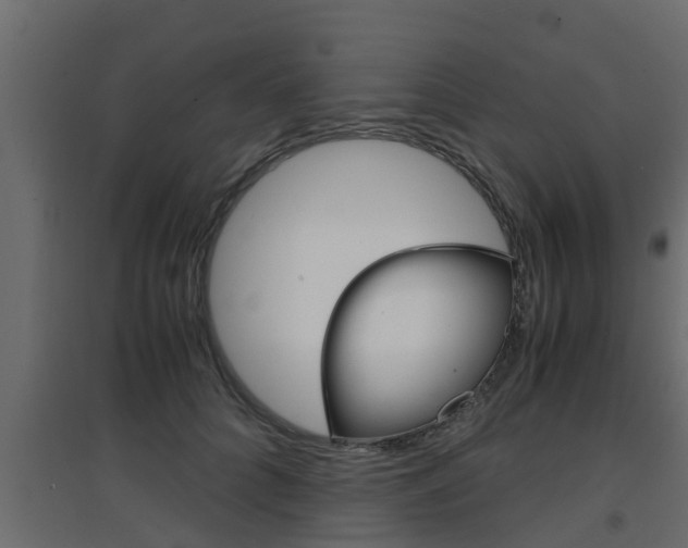 X0000094970704200711291138