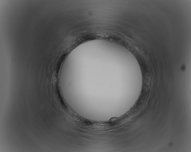 X0000094970707200711291138