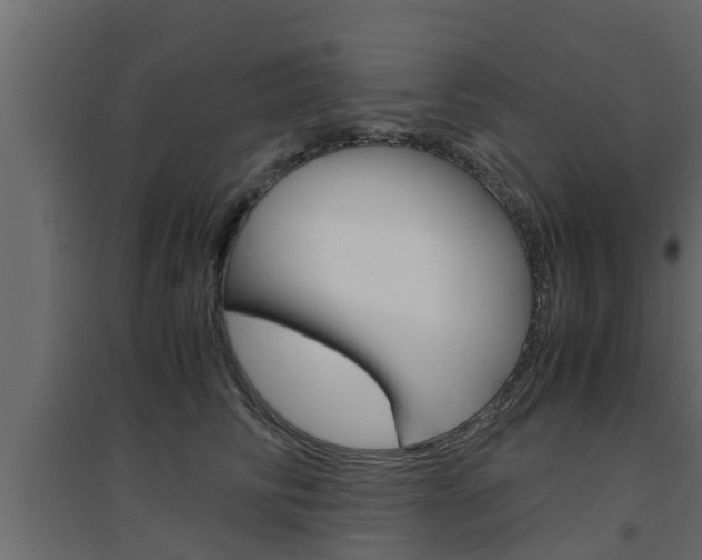 X0000094970710200711291138