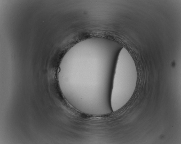 X0000094970711200711291138