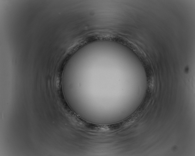 X0000094970715200711291138