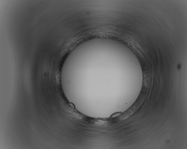 X0000094970718200711291138