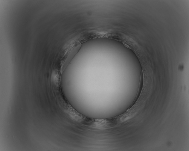 X0000094970720200711291138