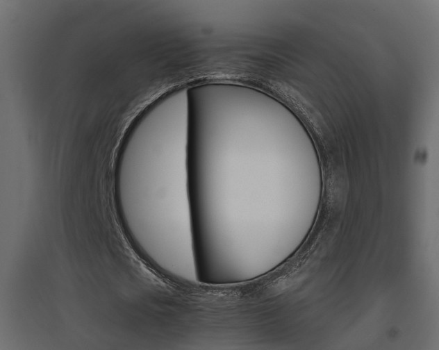 X0000094970721200711291137