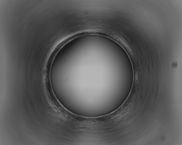 X0000094970724200711291137