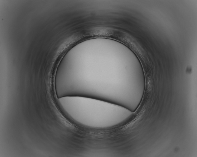 X0000094970725200711291137