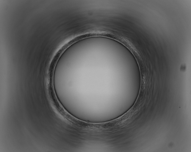 X0000094970726200711291137